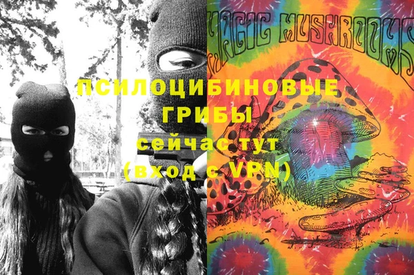 ALPHA PVP Богородицк