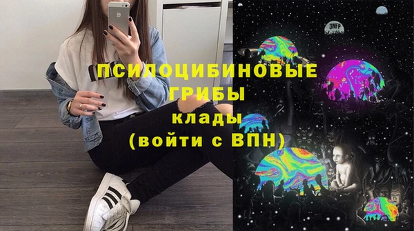 индика Всеволожск