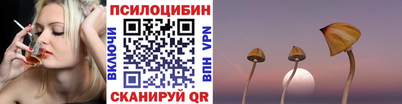 Галлюциногенные грибы прущие грибы  закладка  Волосово 